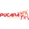 Pucara Gold Ltd.